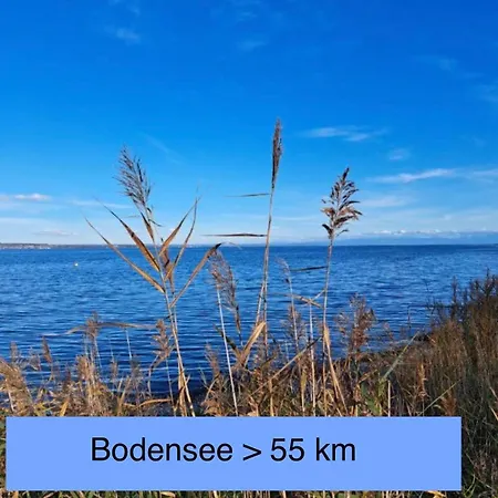 Apartamento Am Rathaus 1 *