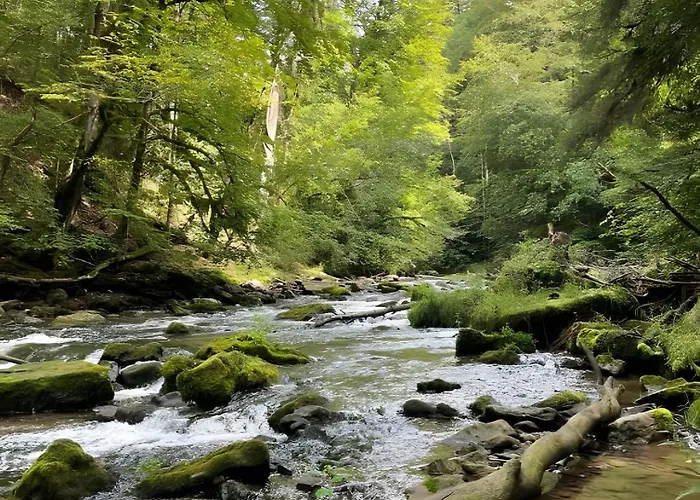 Am Rathaus 1 Appartamento